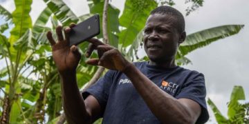 Farmer John Poi Namanjelie shoots a photo of his crop with the Picture-Based Insurance app near Bungoma in Western Kenya. The online service now offers targeted advisories from extension experts based on the images.