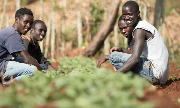 The Future of Youth Jobs in Agrifood Systems in Africa