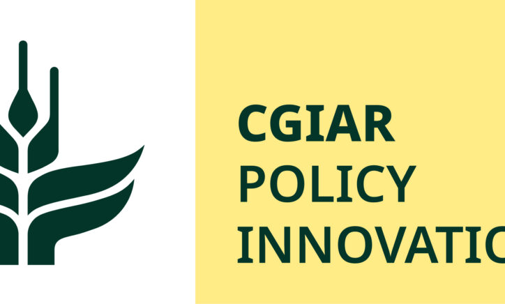Policy Innovation Hubs